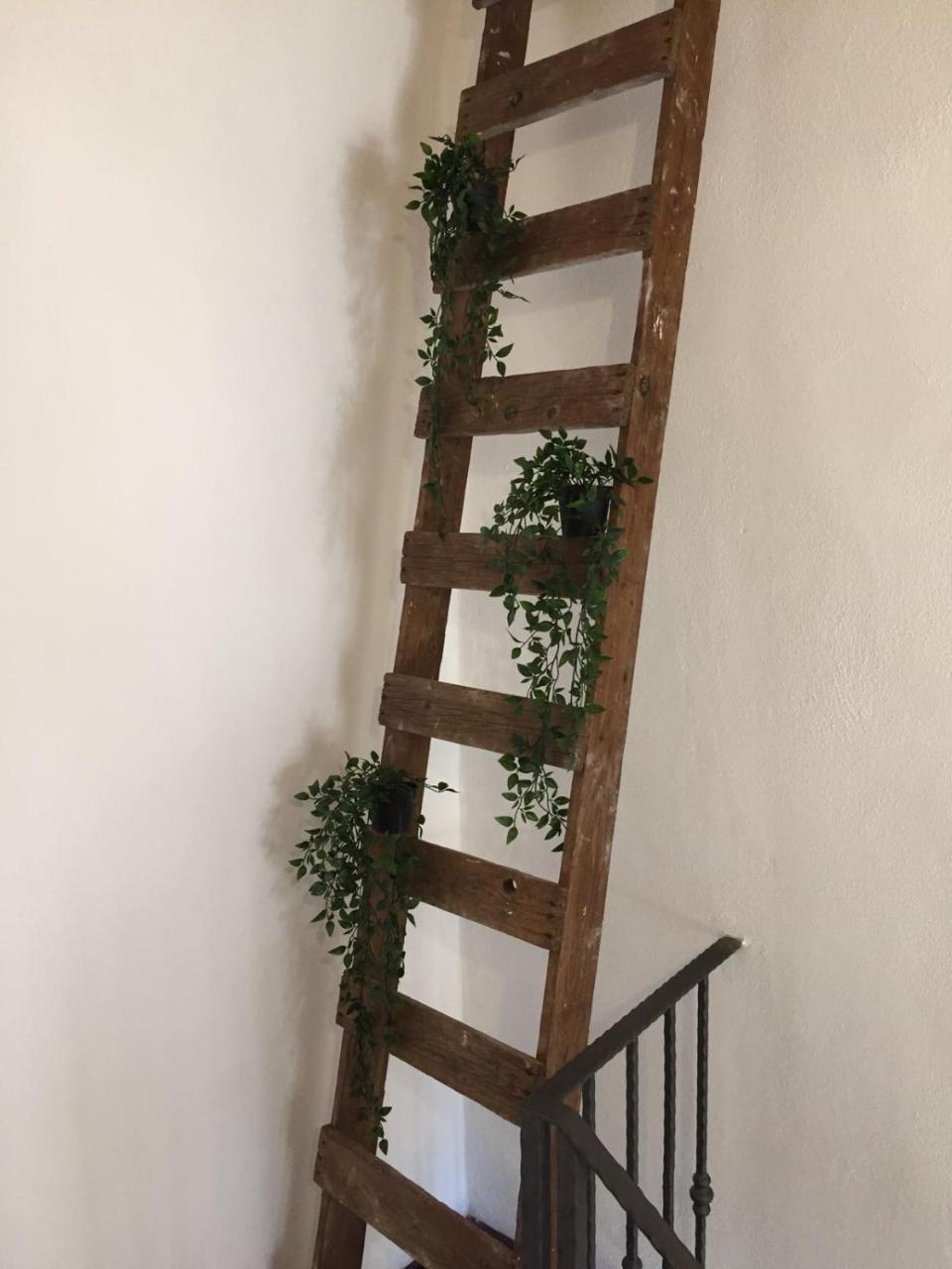 B&B La Corte San Francesco 바리 외부 사진